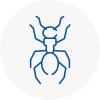 Ant Removals In Durham