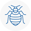 Bed Bug Extermination In Durham
