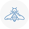 Bee Nest Removal Durham