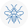 Durham Hornet Nest Removals