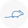 Mice Exterminators In Durham