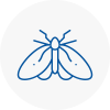 Moth Control Specialists In Durham