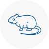 Rat Control Durham