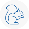 Durham Rodent Removals