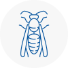 Durham Wasp Nest Removal